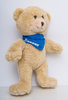Teddy Bear (209016270)